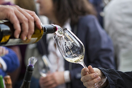 Avinyonet del Penedès inicia avui els actes del Microvi, que se celebraran fins el 29 d’abril