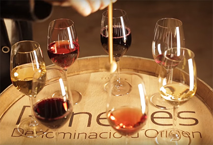 Els preus dels vins de la DO Penedès s’incrementen un 17% durant el 2017