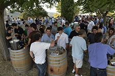 La tercera edició de La Cimera del Xarel·lo arriba avui amb la participació de més de 30 cellers del Penedès