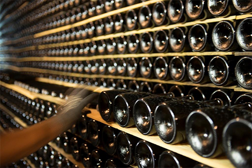 Juvé & Camps lidera la investigació de la producció de llevats autòctons per a la elaboració d’escumosos